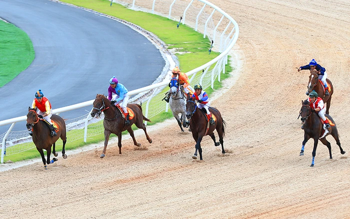 Introduction to online horse racing betting