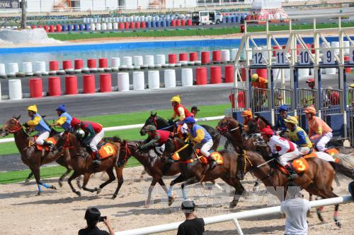 How to bet on horse racing to destroy all online bookmakers