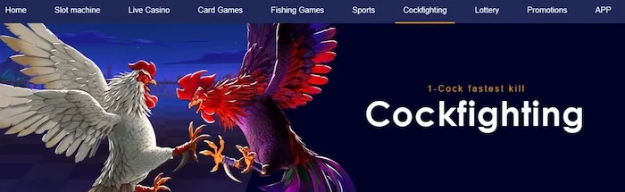 Betting Tips to Win 30JILI