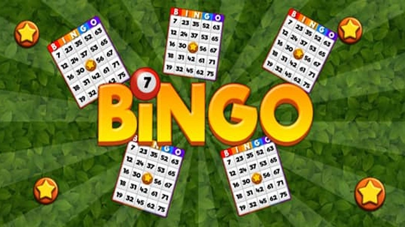 Basic How To Play Bingo Plus 